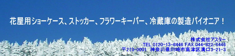 花屋用ショーケース、花のストッカー、フラワーキーパー、冷蔵庫のアスター 花屋用ショーケース、花のストッカー、フラワーキーパー、冷蔵庫のアスター