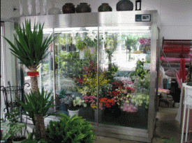 花屋冷蔵庫